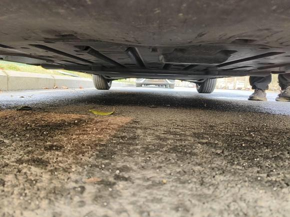 [深圳·粤B] 二手比亚迪海豚2024款 荣耀版 420km 自由版