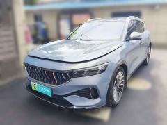 [上海·沪A] 岚图汽车岚图FREE2021款 四驱标准增程专属豪华套装