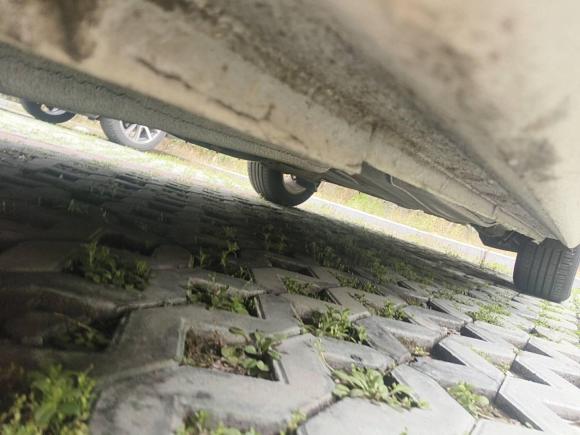 [南京·苏A] 二手大众朗逸2013款 1.6L 自动舒适版