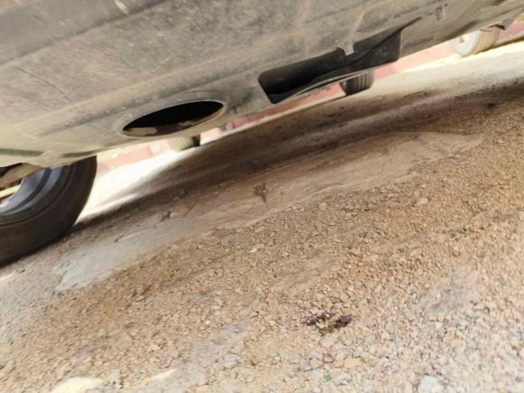 [青岛·鲁B] 二手东南东南DX72017款 1.5T 自动豪华型