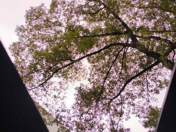 [上海·沪C] 二手奔驰奔驰A级2017款 A 180