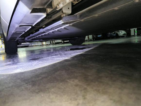 [宁波·浙B] 二手比亚迪海豚2025款 420km 活力版