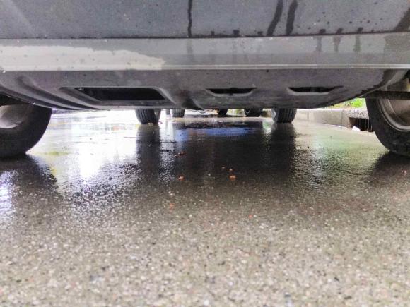 [上海·浙A] 二手福特翼搏2013款 1.5L 自动风尚型