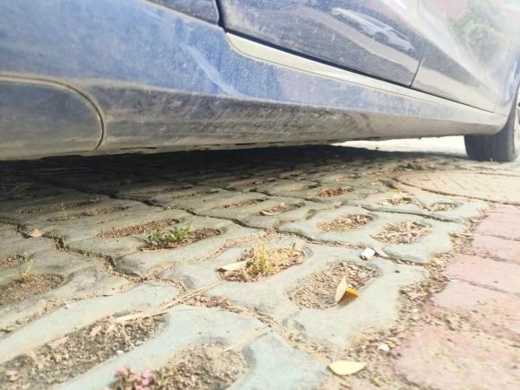 [苏州·浙A] 二手特斯拉Model S2017款 Model S 75D 标准续航版