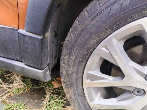 [合肥·皖A] 二手大众Polo2014款 1.6L Cross Polo 自动