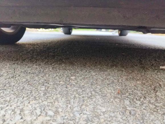 [宁波·浙B] 二手大众高尔夫2017款 230TSI 手动舒适百万辆纪念版