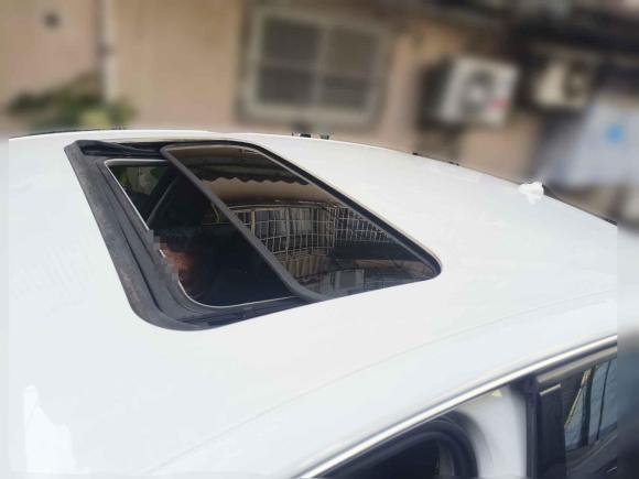 [上海·沪B] 二手奥迪奥迪A4L2013款 35 TFSI 自动技术型