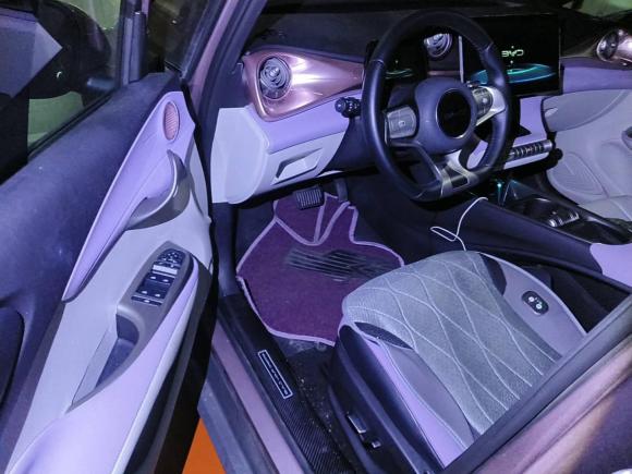 [杭州·浙A] 二手比亚迪海豚2021款 401km 骑士版