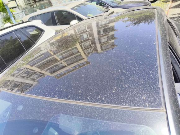 [上海·苏F] 二手长安长安UNI-T2020款 1.5T 尊贵型