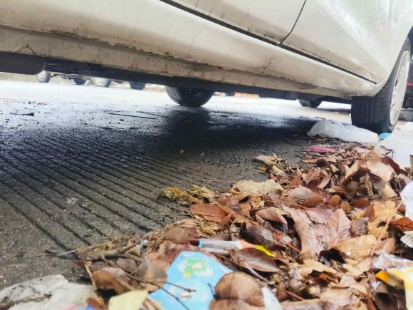 [上海·沪A] 二手福特嘉年华2013款 三厢 1.5L 手动风尚型