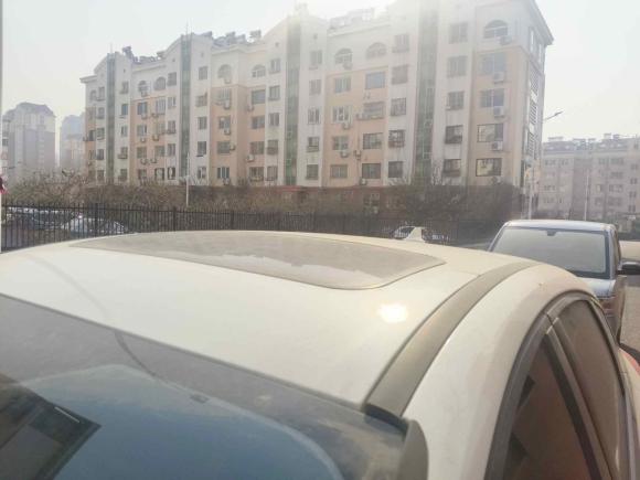 [青岛·鲁B] 二手福特福克斯2017款 两厢 1.6L 手动风尚型智行版