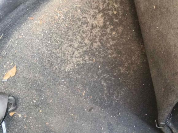 [杭州·浙A] 二手日产骐达TIIDA2014款 1.6L CVT智能型