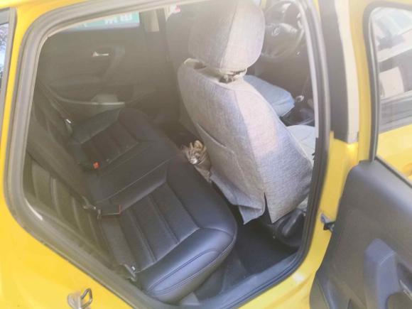 [嘉兴·浙F] 二手大众Polo2014款 1.4L 手动风尚版