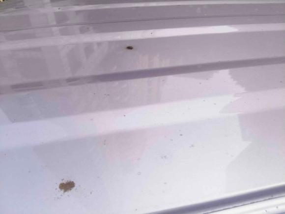 [广州·粤A] 二手吉利汽车熊猫2023款 熊猫mini 200km 耐力熊