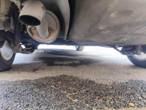 [上海·沪C] 二手斯柯达昕锐2019款 1.5L 自动舒适版 国V