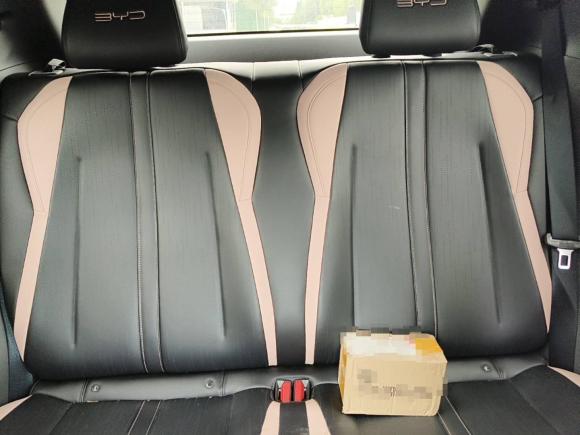 [合肥·皖A] 二手比亚迪海鸥2024款 荣耀版 305km 活力版