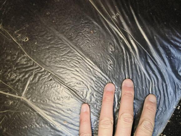 [合肥·皖A] 二手雪铁龙世嘉2016款 经典 三厢 1.6L 手动CNG