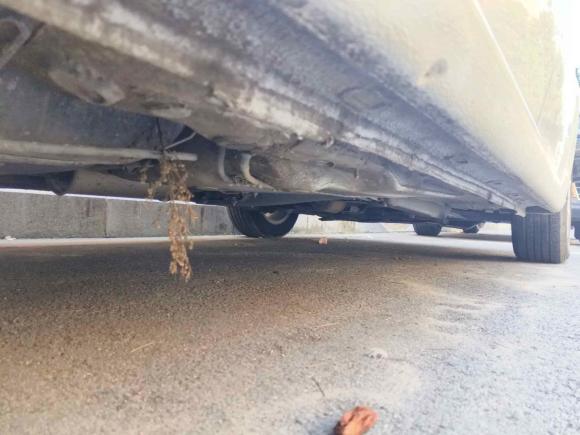 [合肥·皖A] 二手大众朗逸2015款 1.6L 自动风尚版