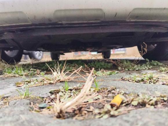 [合肥·皖A] 二手大众Polo2014款 1.6L Cross Polo 自动