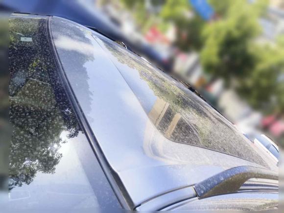 [南京·京Q] 二手宝马宝马X52009款 xDrive30i豪华型