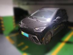 [杭州·浙A] 比亚迪海鸥2025款 305km 活力版