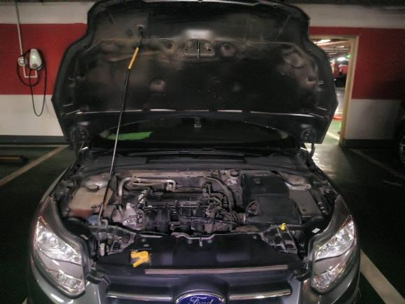 [武汉·鄂A] 二手福特福克斯2012款 两厢 1.6L 手动舒适型