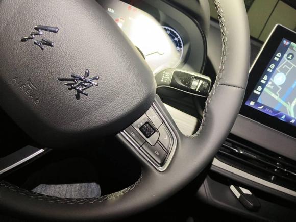 [苏州·苏E] 二手红旗红旗E-QM52024款 560km PLUS