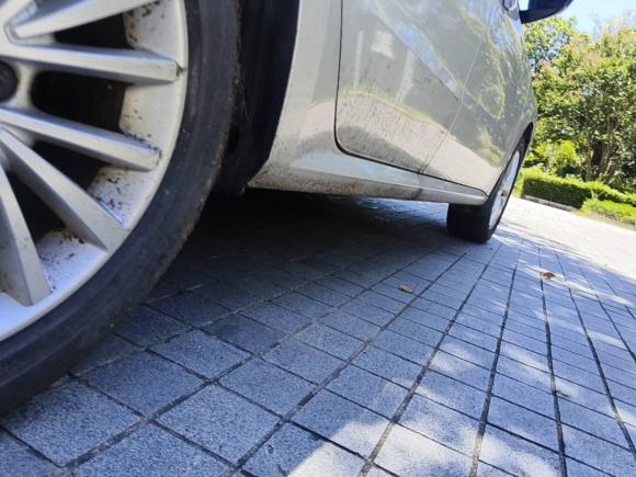 [上海·鄂A] 二手大众朗逸2013款 1.6L 自动豪华版