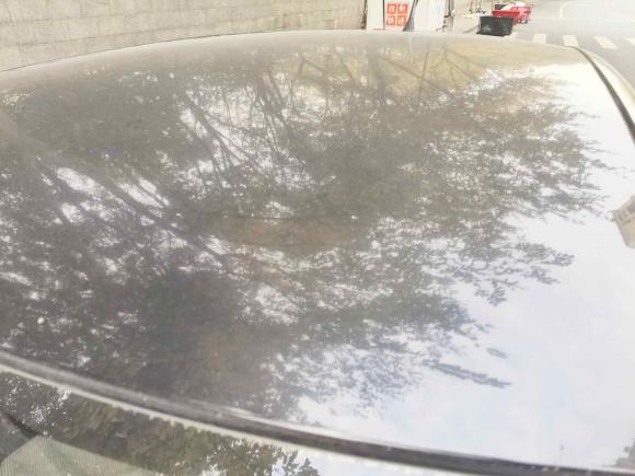 [杭州·浙A] 二手斯柯达晶锐2012款 1.6L 自动酷黑版