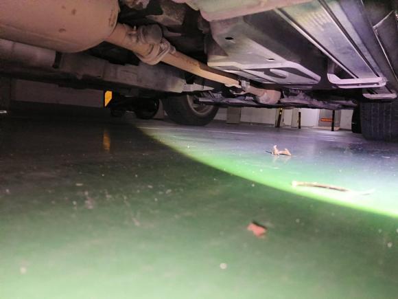 [深圳·粤B] 二手雷克萨斯雷克萨斯RX2016款 300 两驱精英版 国V