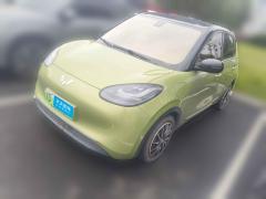 [绍兴·浙D] 五菱汽车五菱缤果2023款 333km 灵犀互联款