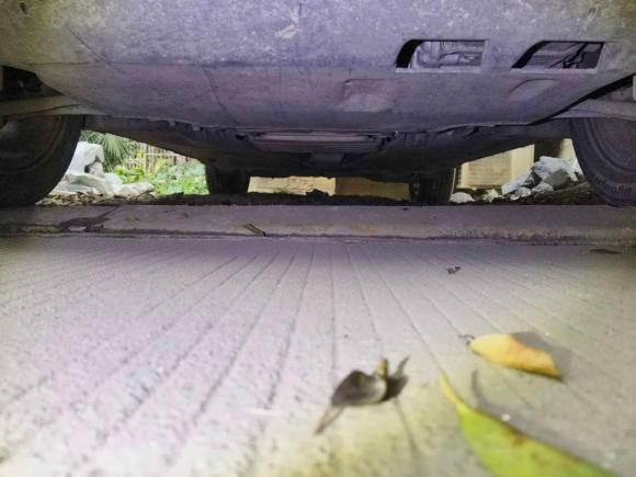 [成都·川A] 二手大众探岳2019款 330TSI 两驱豪华型 国V