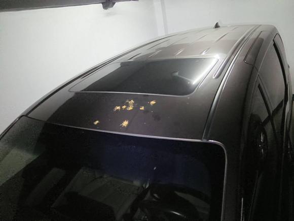 [上海·沪F] 二手别克别克GL82020款 陆上公务舱 652T 豪华型