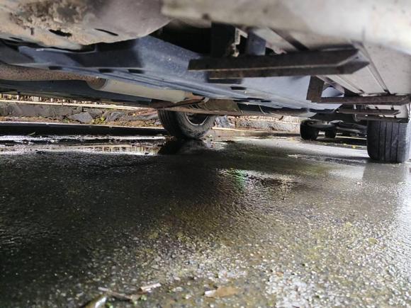 [深圳·赣C] 二手哈弗哈弗大狗2021款 1.5T DCT两驱拉布拉多版