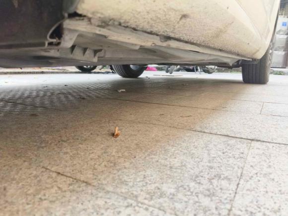 [杭州·浙J] 二手斯柯达明锐2017款 1.6L 自动智行版