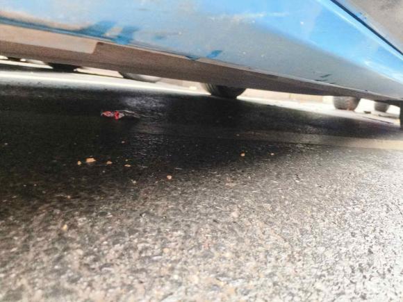 [义乌·浙G] 二手福特福克斯2022款 两厢 EcoBoost 180 自动S版