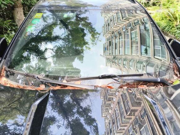 [上海·沪L] 二手凯迪拉克凯迪拉克XT42018款 28T 四驱领先运动型