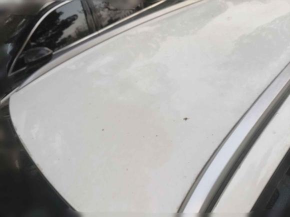 [武汉·鄂A] 二手丰田YARiS L 致炫2022款 致炫X 1.5L CVT领先PLUS版