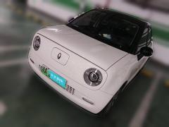 [杭州·浙A] 欧拉欧拉黑猫2021款 351km 标准型