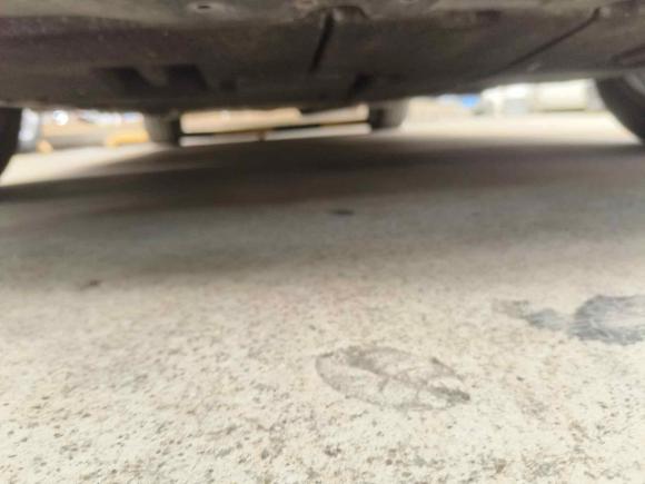 [上海·沪C] 二手丰田雷凌2024款 智能电混双擎 1.8L 豪华版