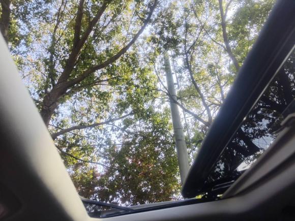 [上海·沪E] 二手上汽大通MAXUS大通G202020款 2.0T 汽油自动豪华行政版