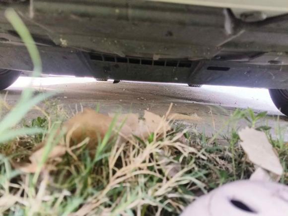 [南昌·赣A] 二手本田型格2022款 240TURBO CVT科技版