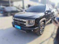 [济南·鲁A] 哈弗哈弗大狗2024款 1.5T DCT边牧版