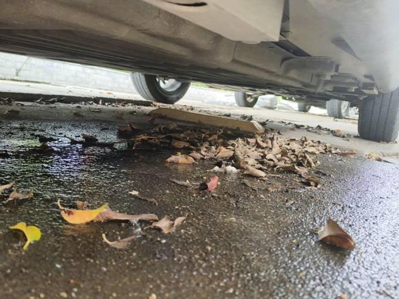 [深圳·粤B] 二手奇瑞新能源小蚂蚁2022款 改款 甜粉款 半糖版 三元锂 30.6kWh 30kW 301km