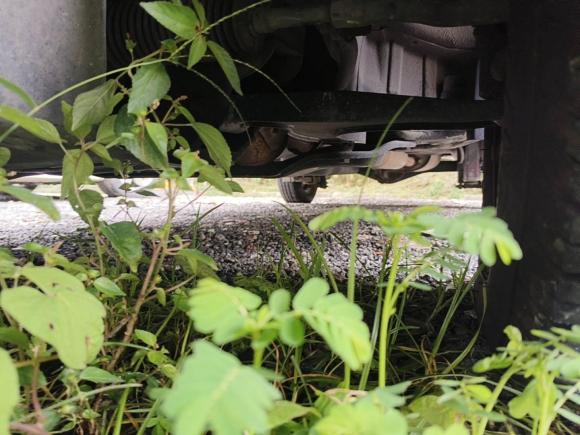 [佛山·粤E] 二手五菱汽车五菱宏光V2019款 1.5L劲取版国VI LAR