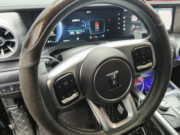 [广州·粤A] 二手坦克坦克3002021款 越野版 2.0T 挑战者