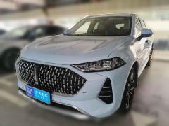 [深圳·粤M]魏牌&nbsp;&nbsp;魏牌 摩卡&nbsp;&nbsp;2021款 2.0T 两驱特浓版