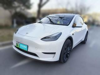 特斯拉Model Y2021款 Performance高性能全轮驱动版