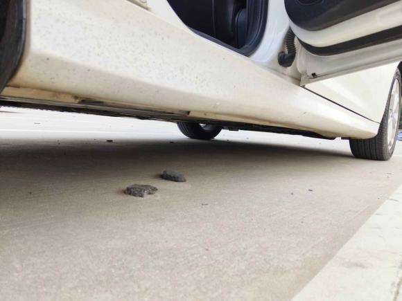 [上海·皖P] 二手福特福克斯2012款 两厢 2.0L 自动豪华运动型