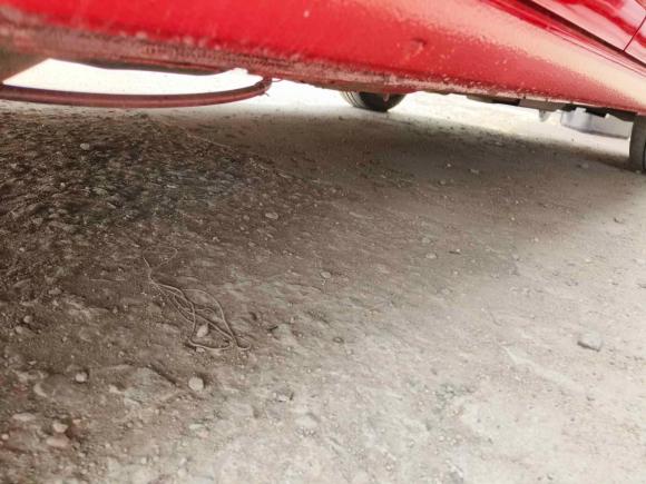 [青岛·皖E] 二手斯柯达昕动2016款 改款 1.6L 自动智行版